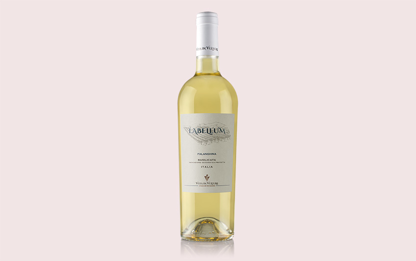 falanghina igt premiata al vinitaly 2020