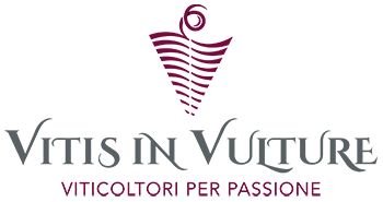 Vitis In Vulture Stage