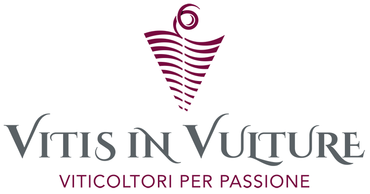 Vitis In Vulture Stage